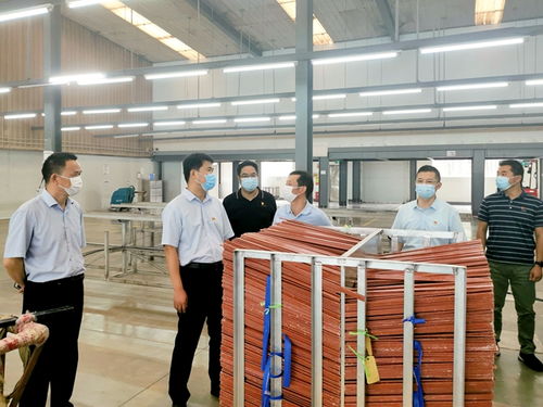 强化防疫与优化服务并重，陈集镇迎来市领导专项指导